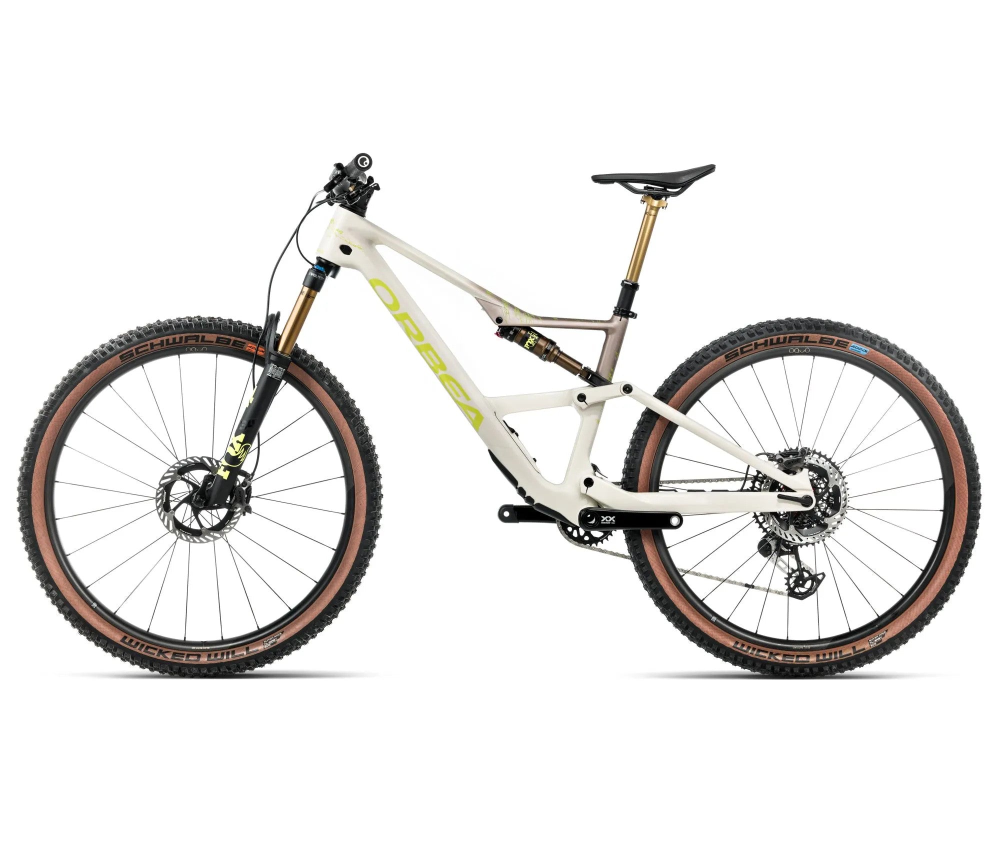 T242TTCC-M4-SIDE2-OCCAM_SL_MLTD