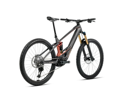 T348TTCC-X1-BACK-WILD_MLTD