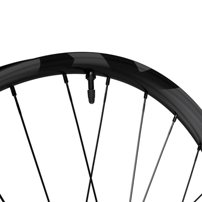 Rueda Delantera Shimano Deore XT WH-M8200-TL-F15-B-29 Freno Disco Center Lock Negro #4